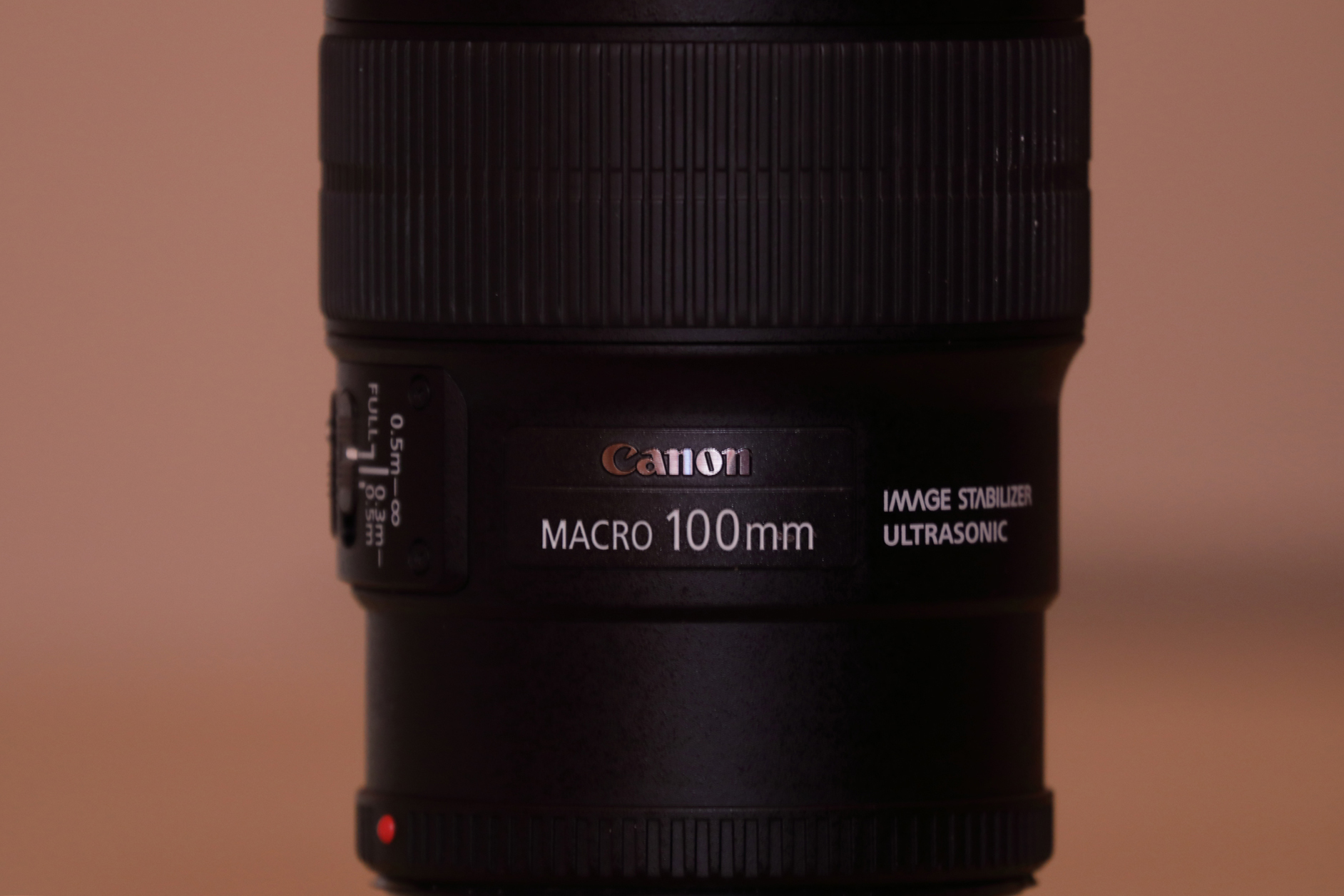 canon 100-400 ii vs 100-500